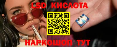 ПСИЛОЦИБИНОВЫЕ ГРИБЫ Обнинск