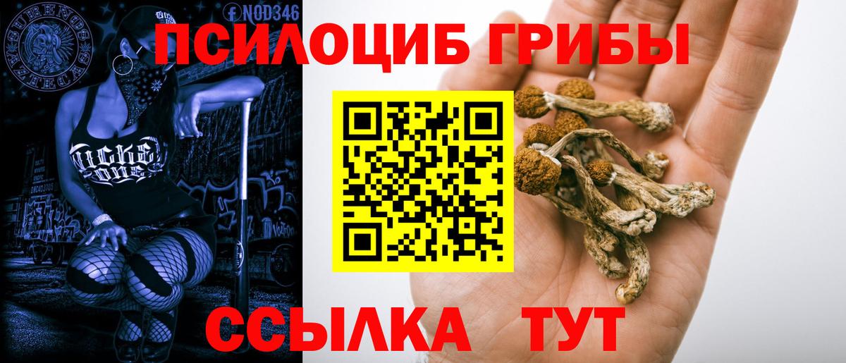 Галлюциногенные грибы Magic Shrooms  Вход с VPN  Торжок 